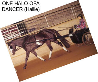 ONE HALO OFA DANCER (Hallie)
