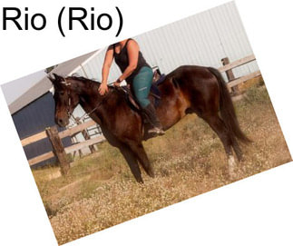 Rio (Rio)