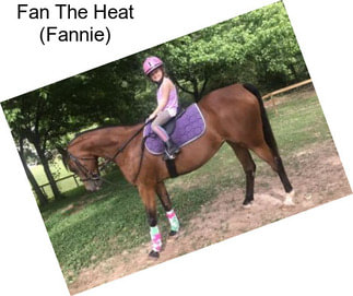 Fan The Heat (Fannie)