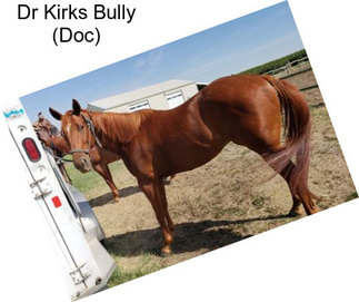 Dr Kirks Bully (Doc)