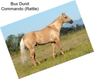 Bux Dunit Commando (Rattle)