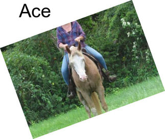 Ace