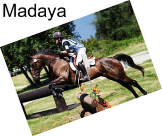 Madaya