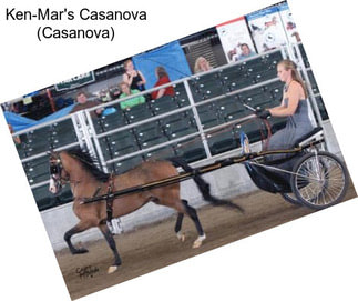 Ken-Mar\'s Casanova (Casanova)