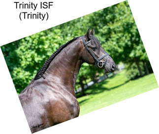 Trinity ISF (Trinity)