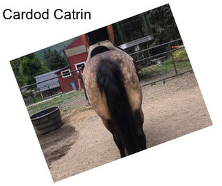 Cardod Catrin