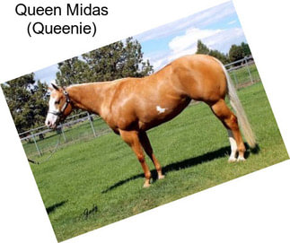 Queen Midas (Queenie)