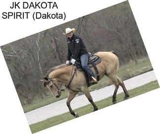 JK DAKOTA SPIRIT (Dakota)