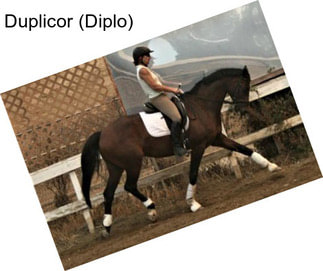 Duplicor (Diplo)
