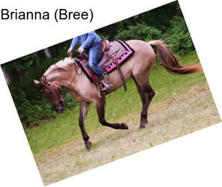 Brianna (Bree)