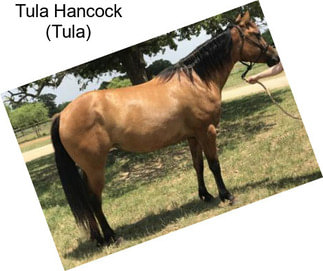 Tula Hancock (Tula)