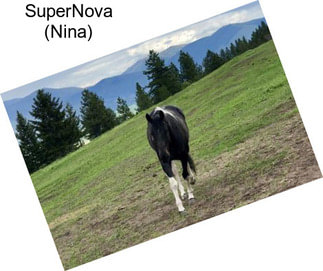SuperNova (Nina)