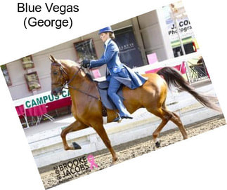 Blue Vegas (George)