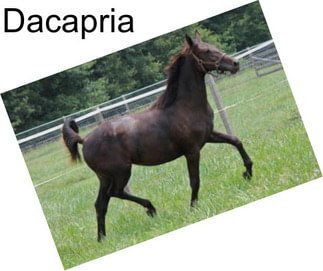 Dacapria