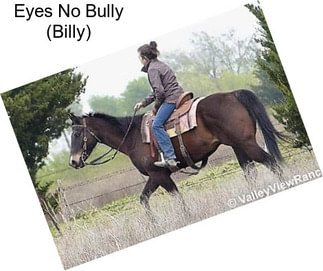 Eyes No Bully (Billy)