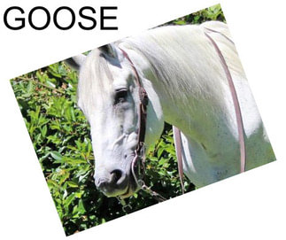 GOOSE