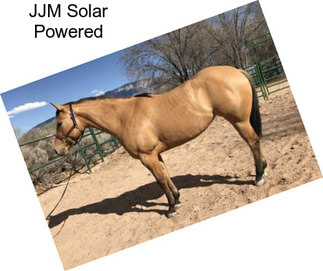 JJM Solar Powered