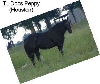 TL Docs Peppy (Houston)