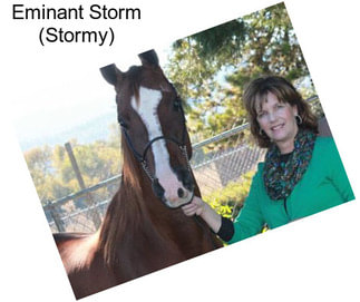 Eminant Storm (Stormy)