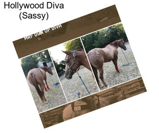 Hollywood Diva (Sassy)