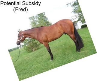 Potential Subsidy (Fred)