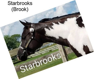 Starbrooks (Brook)