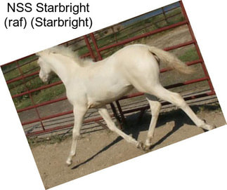 NSS Starbright (raf) (Starbright)