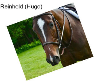 Reinhold (Hugo)