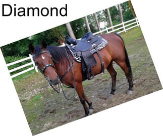 Diamond