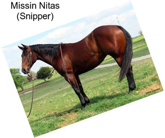 Missin Nitas (Snipper)