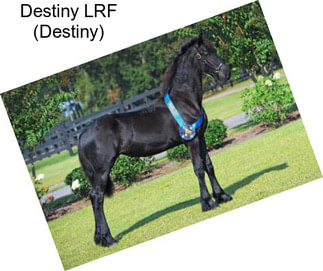 Destiny LRF (Destiny)