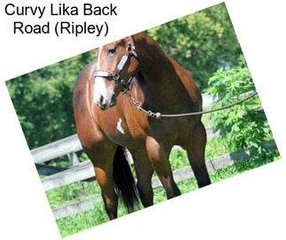 Curvy Lika Back Road (Ripley)