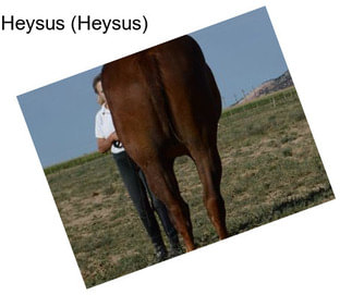 Heysus (Heysus)