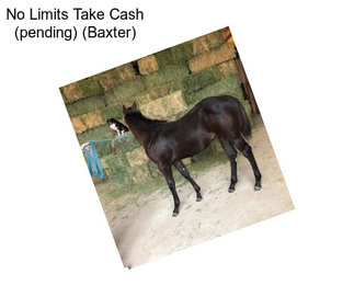 No Limits Take Cash (pending) (Baxter)