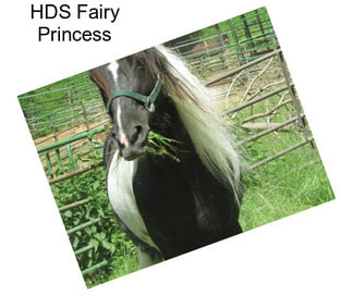 HDS Fairy Princess
