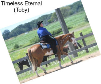 Timeless Eternal (Toby)