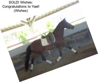 SOLD! Wishes: Congratulations to Yael! (Wishes)
