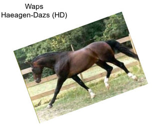 Waps Haeagen-Dazs (HD)