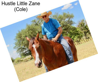 Hustle Little Zane (Cole)