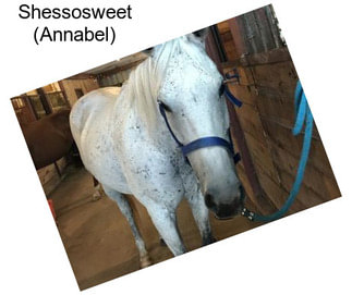 Shessosweet (Annabel)