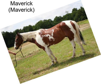 Maverick (Maverick)