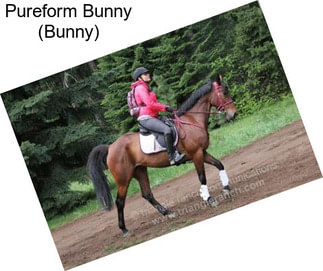 Pureform Bunny (Bunny)