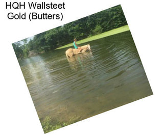 HQH Wallsteet Gold (Butters)