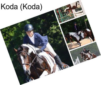 Koda (Koda)