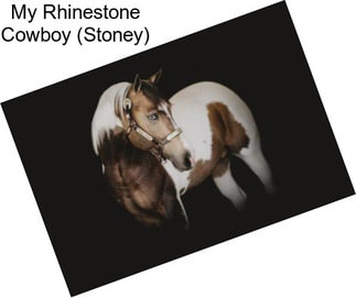 My Rhinestone Cowboy (Stoney)