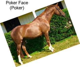 Poker Face (Poker)