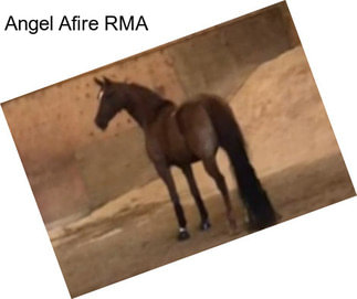 Angel Afire RMA