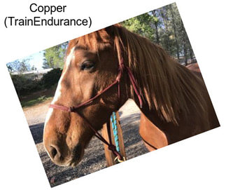 Copper (TrainEndurance)