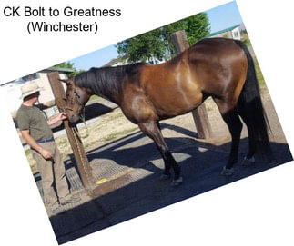CK Bolt to Greatness (Winchester)