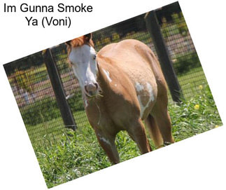 Im Gunna Smoke Ya (Voni)